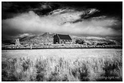 Lupins & Church of The Good Shepherd, Lake Tekapo